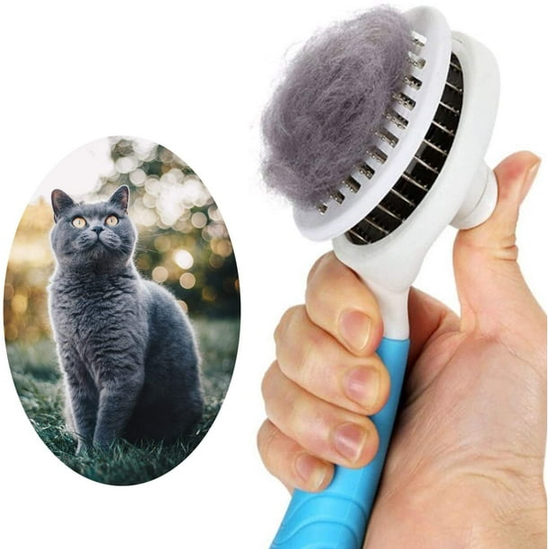 Cepillo autolimpiable para perros y gatos, elimina el pelo suelto y la capa interna con un solo clic.