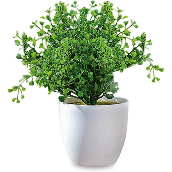 Realistic Faux Baby Oregano, Potted Plant, Houseplant, 9 3/4 inches