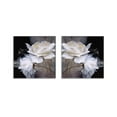 thumbnail image 1 of 2 Paneles Sin Marco Pintura Imagen Arte Imprimir de Pared, 1 of 9