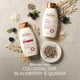 thumbnail image 5 of Champú Aveeno Blackberry Quinoa Protein, 355 ml, teñido, 5 of 8