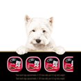 thumbnail image 3 of Cesar Adult Classic Loaf in Sauce Filet Mignon Flavour, Chicken & Liver Recipe Variety Pack Soft Wet Dog Food 100g, 3 of 4
