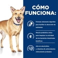 thumbnail image 4 of Hills alimento para perro digestive care estofado húmedo 354g, 4 of 5