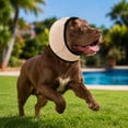 thumbnail image 2 of Noise Cancelling Ear Wrap for Dog, No Shake Ear Muffs Noise Protection Firework Thunder Vacuum, Comfortable Quiet Dogs Calming Earmuffs, Adjustable for Grooming Bathing & Swimming, 2 of 5