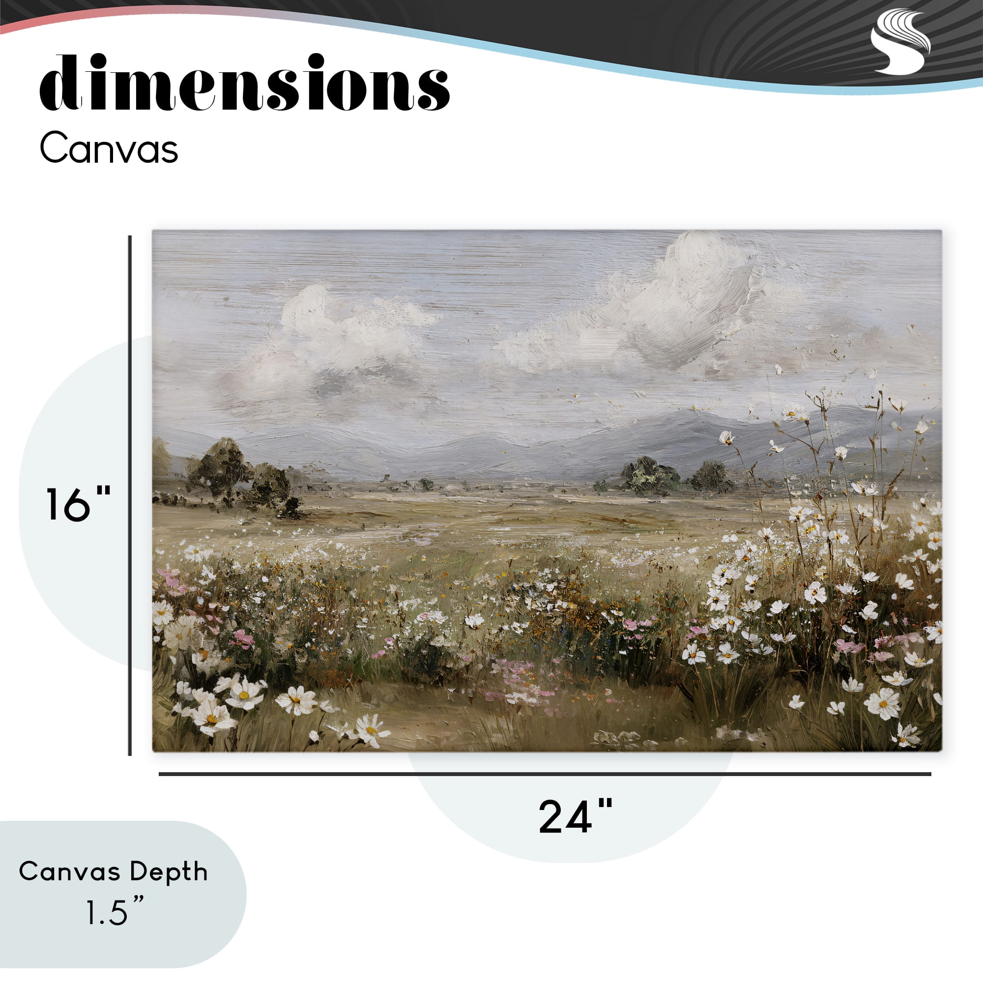 Stupell Industries Daisy Clusters in Field Canvas Wall Art, design by Jacky Ngan
