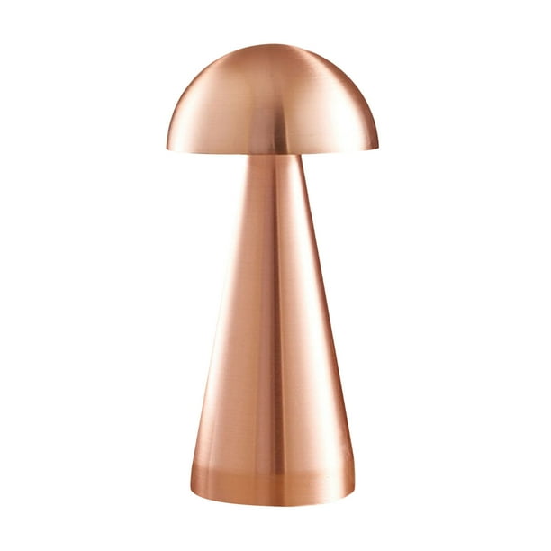 Xihbxyly Lámpara Led Portátil, Luz de Escritorio Recargable con Control Táctil, Decoración Nocturna Regulable, Carga Usb, Uso En Interiores y Exteriores, Idea de Regalo Única, Diseño con Protección O
