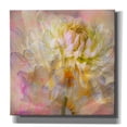 thumbnail image 1 of Epic Graffiti 'Cotton Candy' by Pamela Plummer, Canvas Wall Art, 12"x12", 1 of 8
