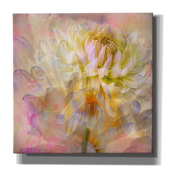 Epic Graffiti 'Cotton Candy' by Pamela Plummer, Canvas Wall Art, 12"x12"