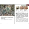 thumbnail image 3 of Cactus of Arizona Field Guide, 3 of 7