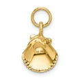 thumbnail image 3 of Real 14kt Yellow Gold Seashell Pendant; for Adults and Teens; for Women and Men, 3 of 4