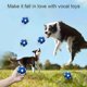 thumbnail image 4 of Indestructible dog ball, squeaking dog toy, dog toy ball, dog ball, squeaker, 4 of 5