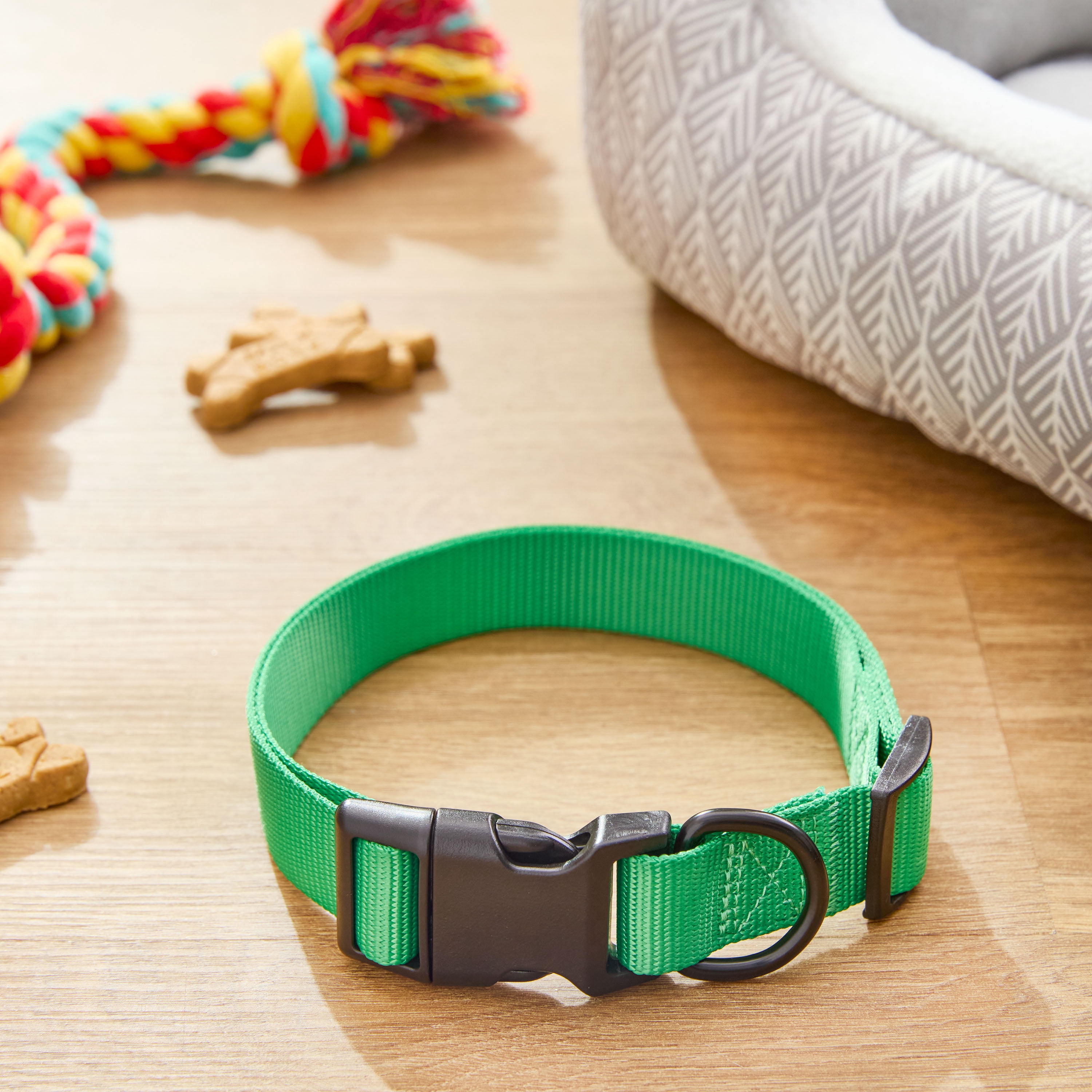 Vibrant Life Polyester Adjustable Dog Collar, Green, M