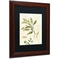 thumbnail image 2 of Trademark Fine Art "Aromantique IV" Canvas Art by Lisa Audit, Black Matte, Wood Frame, 2 of 4