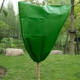 thumbnail image 7 of Reusable Plant Protector, Insulates from Frost, Blocks Pests, Easy On/Off Drawstring, 2x10m, 7 of 7