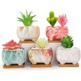 thumbnail image 1 of Rectangular Succulent Pots with Drainage, 4.7" Cactus Succulent Planter with Trays Modern Ceramic Flower Plant Bonsai, 1 of 5