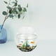 thumbnail image 5 of Pecera de plástico transparente para peces pequeños, ideal para acuarios pequeños de peces dorados., 5 of 8