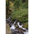 thumbnail image 3 of Berzel, Erin 17x24 Black Modern Framed Museum Art Print Titled - Wahkeena Falls IV, 3 of 5