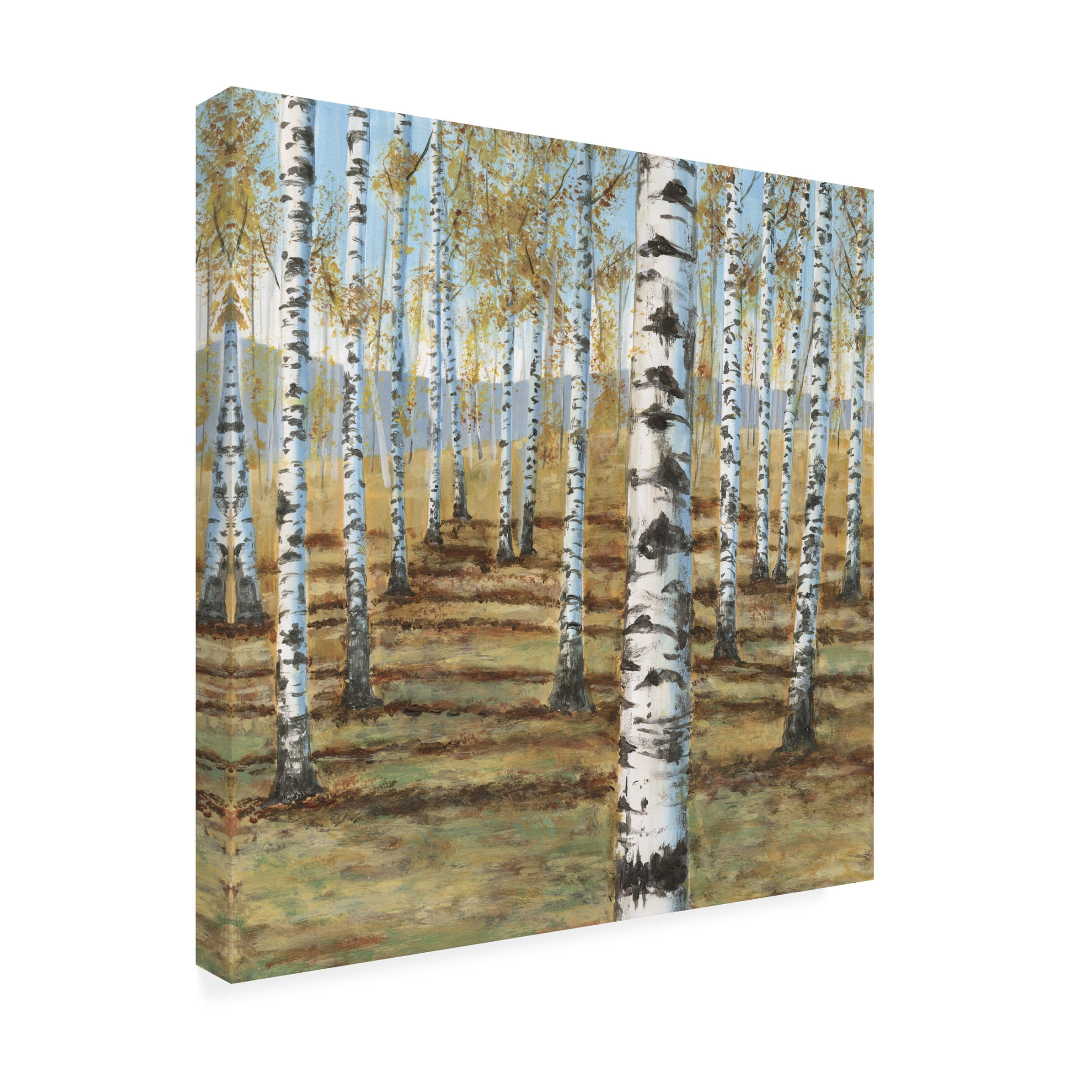 Trademark Fine Art Michael Willett  Birch Hillside I Canvas Wall Art