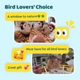 thumbnail image 5 of Netvue Birdfy Bird Feeder with Camera, Smart Bird Camera with Solar Panel, AI Identify 6000+ Species, Automatic reminder recording, Ideal Gift, 5 of 9