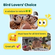 Netvue Birdfy Bird Feeder with Camera, Smart Bird Camera with Solar Panel, AI Identify 6000+ Species, Automatic reminder recording, Ideal Gift