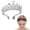 Clear, variant on CXHEGBEJ Crowns Hairpin for Women Alloy Rhinestone Glitter Queen Crown Princess Tiaras Headdress Hair Accessory for Prom Birthday Party Bridal Costume White
