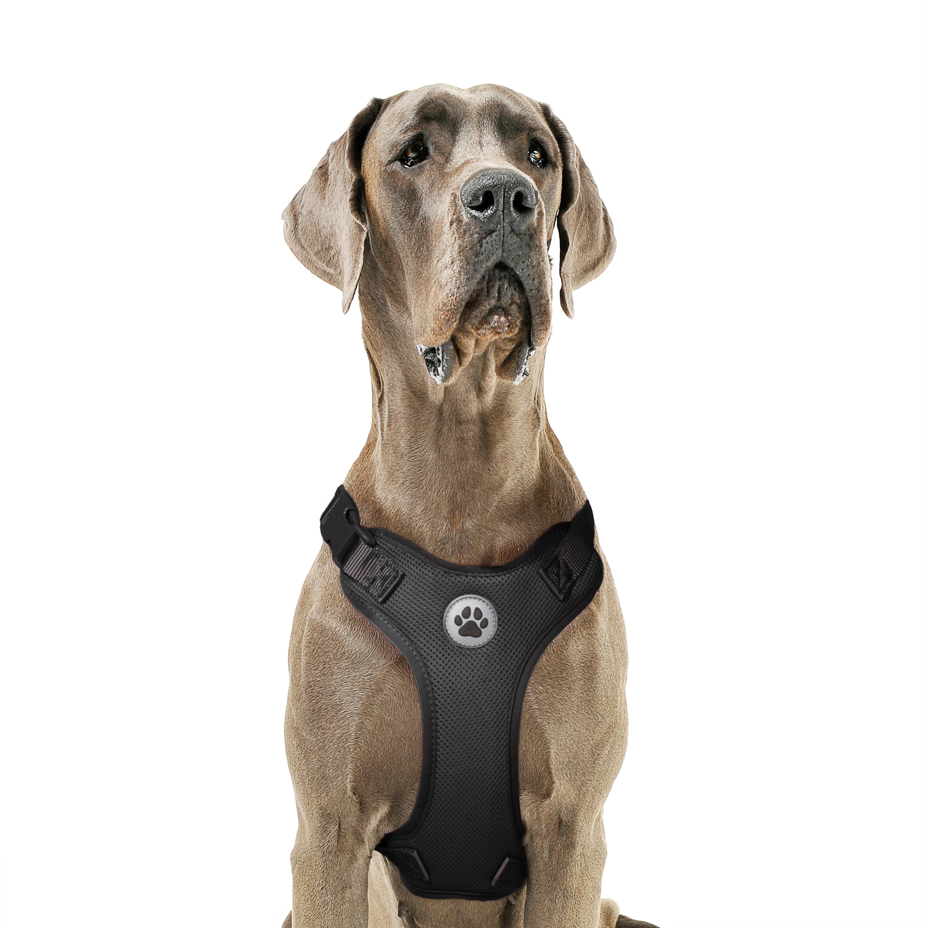 Vibrant Life Polyester Mesh Adjustable and Reflective Dog Walking Harness, Black, XL