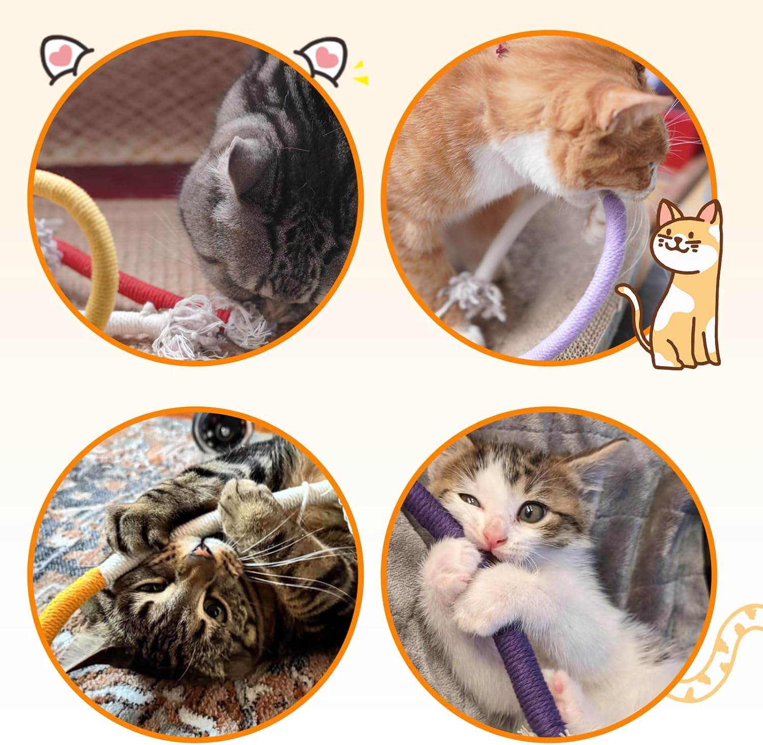 Cat Toys Silvervine Sticks - 8Pack Natural Silvervine Sticks for Cats, Cat Chew Toy for Teeth Cleaning, Interactive Kitten Chew Ropes to Redirect Chewing Habits, Kitty Chew Sticks