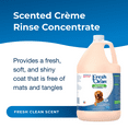 thumbnail image 2 of LAMBERT KAY FRESH N CLEAN CREME RINSE, GALLON, 2 of 4