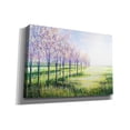 thumbnail image 2 of Epic Graffiti 'Orchard Trees In Blossom' by Marc Todd, Canvas Wall Art, 26"x18", 2 of 8