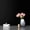 Black, variant on RunMin Grocery Store Thick Hot Pink Wallpaper Peel and Stick Wallpaper for Girls Room Pink Contact Paper for Cabinets Desk Waterproof Self Adhesive Removable Wallpaper15.7''x78.7''