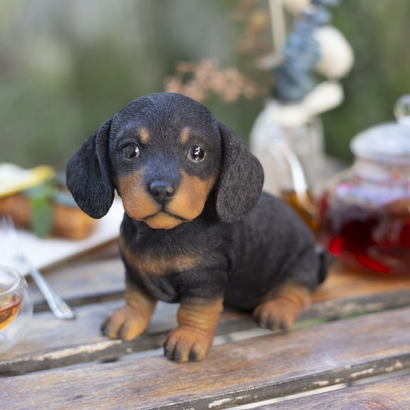 SOREAL Black Dachshund | Handpainted Decorative Puppy Statue for Home & Garden Decor | Premium Polyresin Dog Statue | Gift for Dog Lovers | Weather-Resistant Indoor/Outdoor Decor