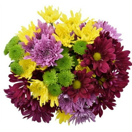 Rainbow Pom Flower Bunch Large