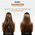 thumbnail image 3 of Sri Sri Tattva Ayurveda Hair Protein Shampoo for Dry to Normal Hair, 200 ml, 3 of 9