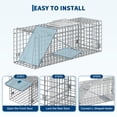 thumbnail image 6 of Live Animal Trap Cage for Raccoons, Stray Cats, Rabbits, Skunks, Groundhogs – Large Humane 2-Door Collapsible Steel with Sensitive Trigger & Carry Handle, 6 of 8