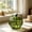 Green, variant on Msgweeeg Vases for Centerpieces Glass Pumpkin Vase for Flowers Decorative Hydroponic Pumpkin Flower Vase Clear Green Orange Glass Centerpiece for Fall Thanksgiving Halloween Home Decor