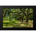 thumbnail image 2 of Bill Carson Photography 14x10 Black Modern Framed Museum Art Print Titled - Boone Hall, 2 of 5