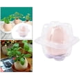 thumbnail image 1 of Planta en maceta de huevo Min Bonsai, maceta de jardinería para interiores y exteriores, plantación para , tarea Rosada Soledad Plantadora de huevos, 1 of 10