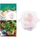 thumbnail image 3 of DIY Min Bonsai maceta planta jardinería maceta macetas decoración del hogar Albahaca verde Zulema Plantadora de huevos, 3 of 8