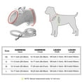 thumbnail image 3 of Pet Artist Custom Dog Harness with Name Print, Soft Mesh Padded Vest & Leash Set for Small Medium Dogs, Puppy and Cat, Adjustable Pet Vest, 3 of 10