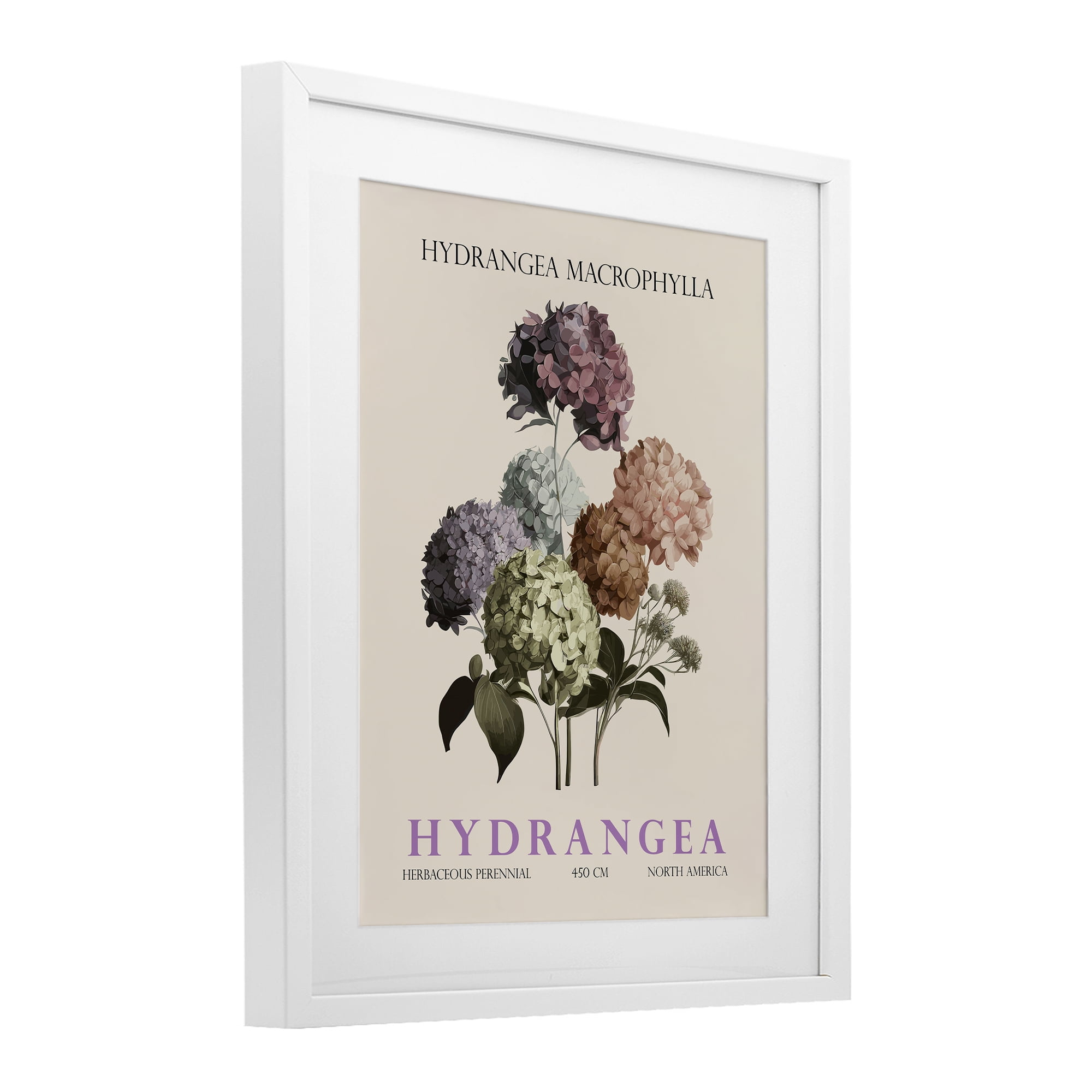 Stupell Industries Nature Hydrangea Bundle White Framed Print Under Glass, design by Christopher Giampietro