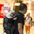 thumbnail image 4 of Light Weight Pet Carrier Backpack For Small And Medium Dogs, Veterinarian Approved Safe Bag For Travel - Easy Take Space Saving - Black M, 4 of 5