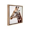 thumbnail image 4 of Stupell Industries Traditional Giraffe Portrait Animals & Insects Painting Brown Floater Framed Canvas Art Print Wall Art, 18 x 18, 4 of 10