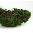 thumbnail image 3 of Supermoss 7018055 5.5 x 10 in. Paula Vined Wire High Heel Planter, Green - Pack of 12, 3 of 3