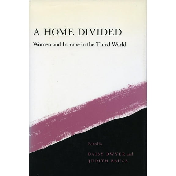 A Home Divided : Women and Income in the Third World (Paperback)