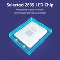 thumbnail image 2 of Ampoule de Culture LED E14 220V avec 48 LEDs (32 Rouges + 16 Bleus) pour Plantes d'Intérieur, Semis, Succulentes, Légumes & Fleurs – Lampe de Croissance Écoénergétique pour Maison, Bureau & Serre, 2 of 6