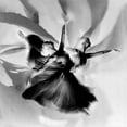 thumbnail image 2 of Pansky, Rachel 15x15 Gold Ornate Wood Framed with Double Matting Museum Art Print Titled - Dance In Black And White, 2 of 4