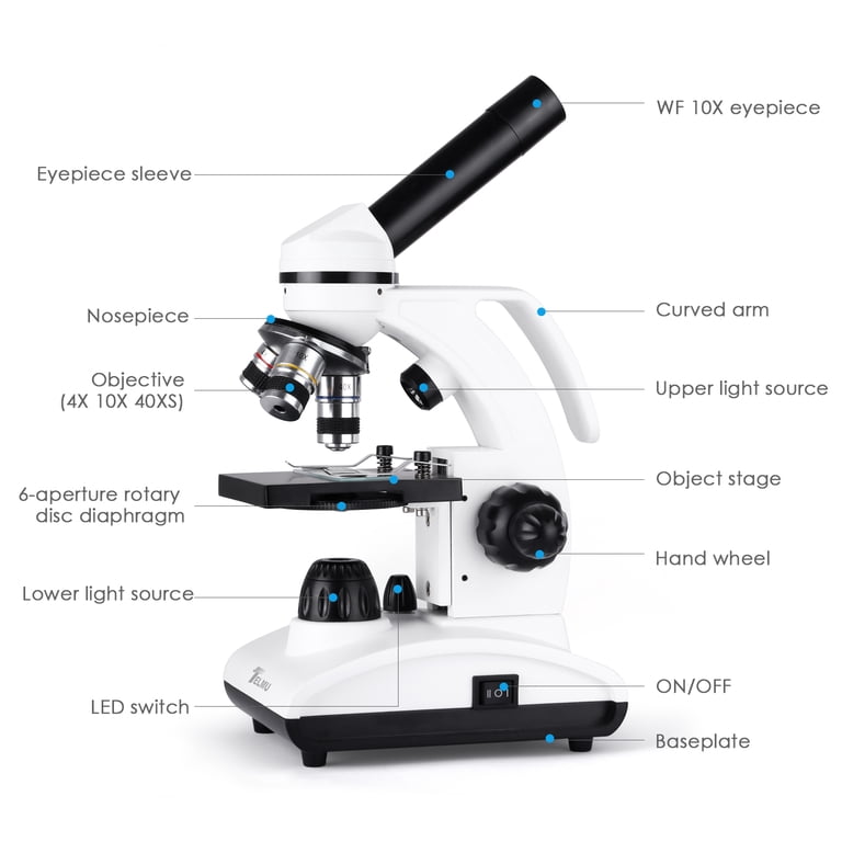 1000x Microscope Diagram