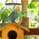 thumbnail image 4 of 2 PCS Parrot Alimento Contenedor Vegetal Fruit Holder Cause Colgante Contenedor de alimentos, 4 of 5