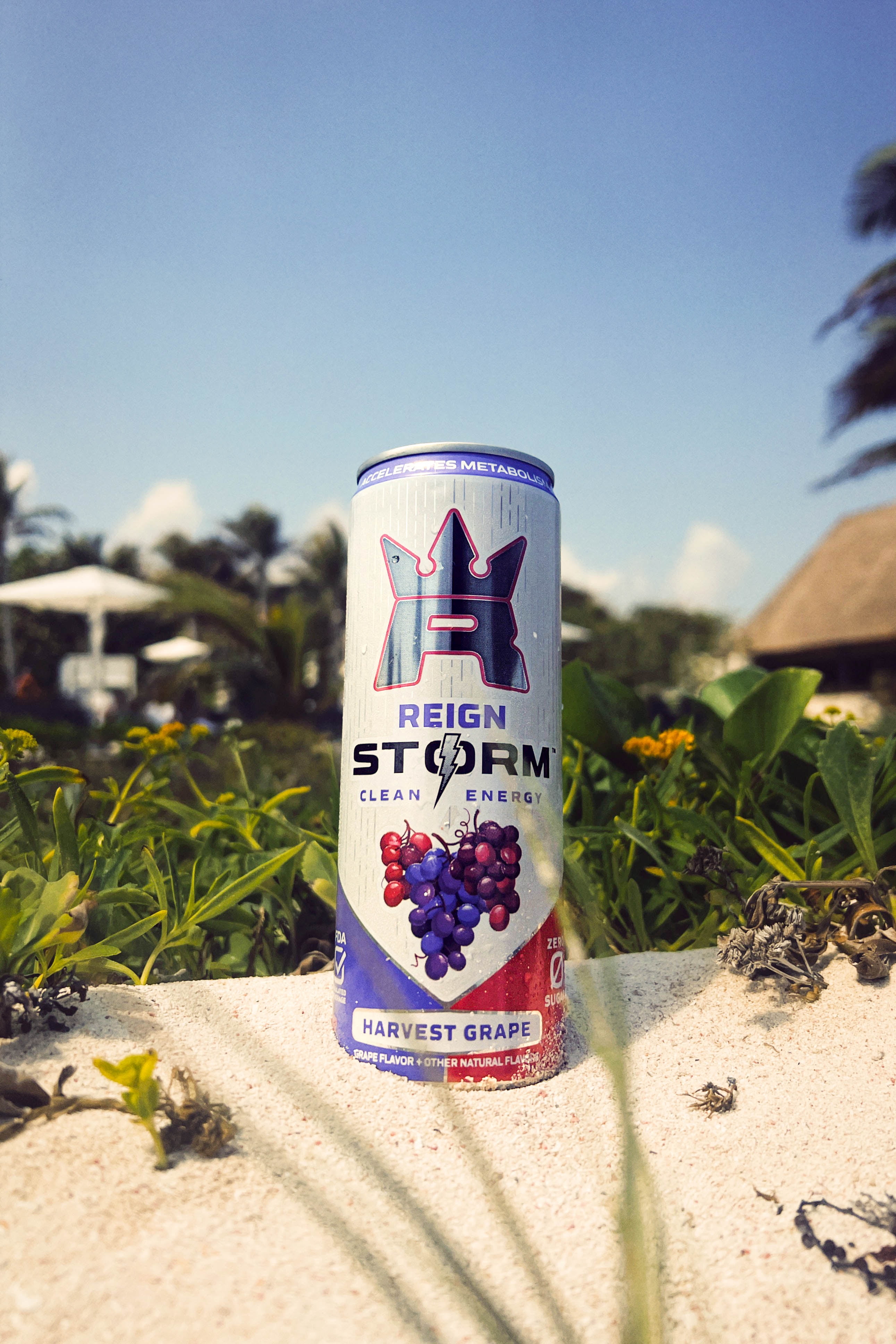 Reign Storm, VP Kiwi Blend, Valencia Orange, Harvest Grape, Clean Energy Drink, 12 fl oz, 12 Pk