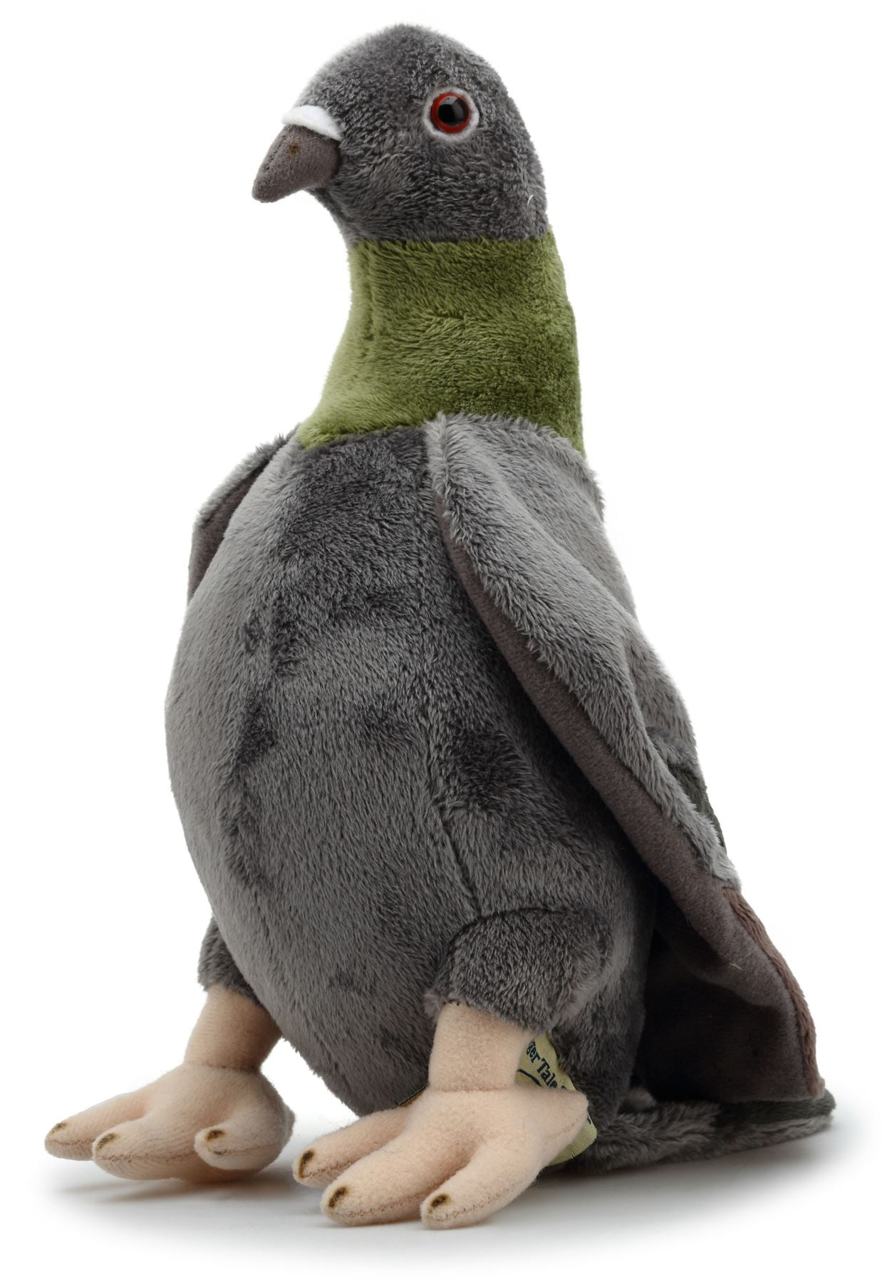 hansa pigeon