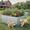 Silver, variant on ModFusion 2-Pack Galvanized Raised Garden Bed Kits, 6×3×2 ft, Support Bars, 269-Gallon Metal Planter Boxes, Corrugated Steel, Heavy-Duty, Silver